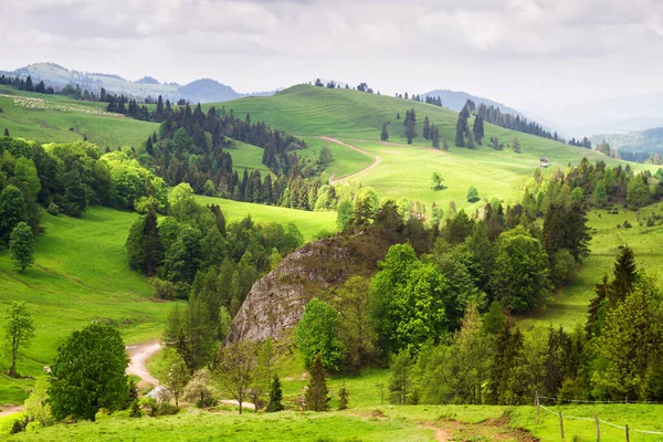 Górskie Krajobrazy Panorama Łąk Lasów Beskidzie Sadeckim Krajobraz Karpat Polska — Zdjęcie stockowe