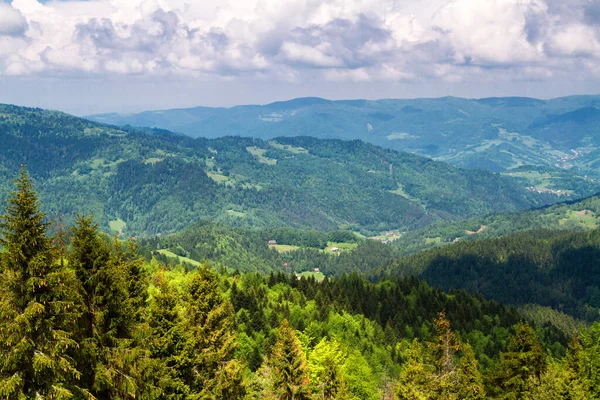 Mountains scenery. Panorama of grassland and forest in Beskid Sadecki mountains. Carpathian mountains landscape, Poland. Lomnica Zdroj village in the background