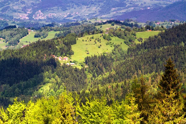 山の景色 ベスキディ サデッキ山脈の草原や森のパノラマ カルパチア山脈の風景 ポーランド 背景にあるロムニカ ズドロジ村 — ストック写真