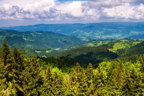 Dağlar Manzaralı Beskid Sadecki Dağlarındaki Çayırların Ormanların Manzarası Karpat Dağları — Stok fotoğraf