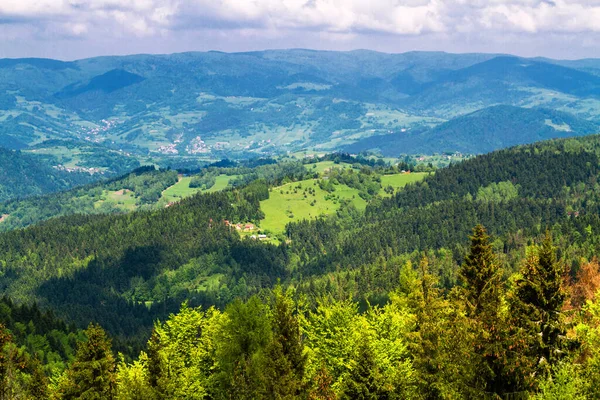 Dağlar Manzaralı Beskid Sadecki Dağlarındaki Çayırların Ormanların Manzarası Karpat Dağları — Stok fotoğraf