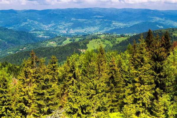 山の景色 ベスキディ サデッキ山脈の草原や森のパノラマ カルパチア山脈の風景 ポーランド 背景にあるロムニカ ズドロジ村 — ストック写真