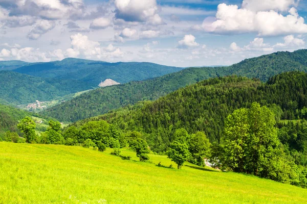 Mountains scenery. Panorama of grassland and forest in Beskid Sadecki mountains. Carpathian mountains landscape, Poland. Lomnica Zdroj village in the background