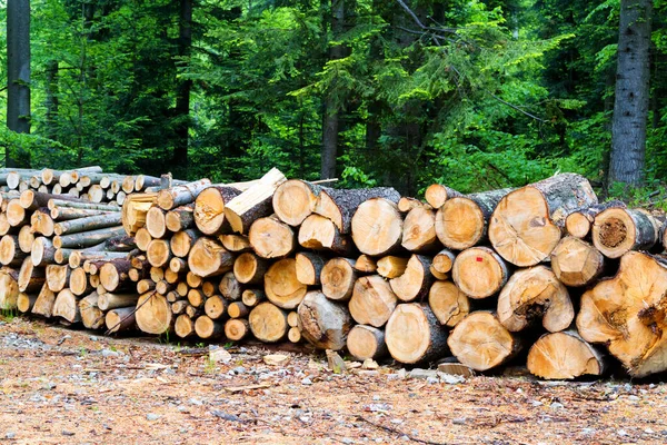 Stack Med Ved Bergen Väntar Vintern Pientinska Bergen Polen — Stockfoto