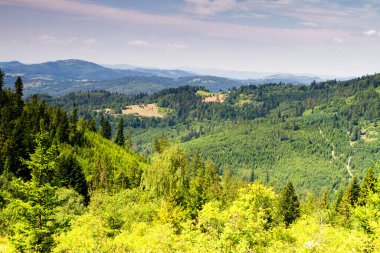 Beskid Zywiecki, Polonya 'da yaz manzarası