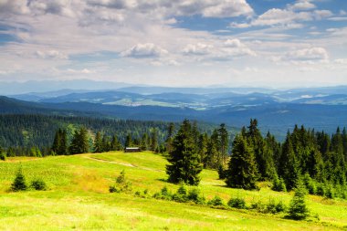 Beskid Zywiecki, Polonya 'da yaz manzarası