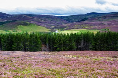 İskoçya 'daki Picturesque yolu, Lecht Kayak Tesisi yakınlarındaki Cairngorm Milli Parkı, İskoçya, İngiltere, Avrupa
