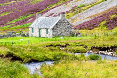 Cairngorms Ulusal Parkı, İskoçya, İngiltere, İngiltere 'de yalnız bir kulübe..