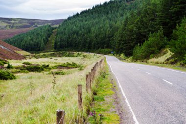 İskoçya Highlands, Cairngorms Ulusal Parkı, Lecht Ski Resort, İskoçya, İngiltere, Avrupa