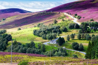 İskoçya Highlands, Cairngorms Ulusal Parkı, Lecht Ski Resort, İskoçya, İngiltere, Avrupa