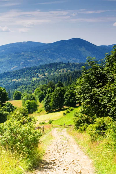 Sommerlandschaft Beskid Zywiecki Polen — Stockfoto