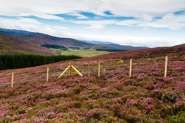 Malebná Silnice Skotské Vrchovině Národní Park Cairngorm Poblíž Lyžařského Střediska — Stock fotografie