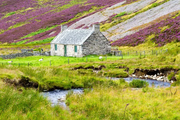 Lonely Hut Cairngorms National Park Scotland United Kingdom Great Britain — Stock Photo, Image