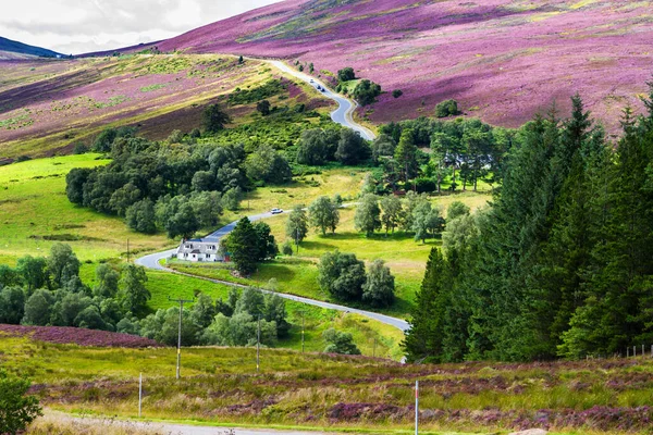 Malownicza Droga Szkocji Park Narodowy Cairngorms Pobliżu Ośrodka Narciarskiego Lecht — Zdjęcie stockowe