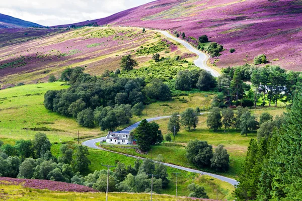 Route Pittoresque Dans Les Highlands Écossais Cairngorms National Park Près — Photo