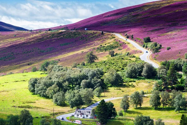Malebná Silnice Skotské Vysočině Národní Park Cairngorms Poblíž Lyžařského Střediska — Stock fotografie