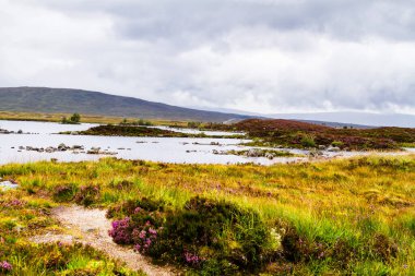 İskoçya, Higlands 'teki Orchy Köprüsü ve Achallader yakınlarındaki Kara Dağ' ın panoramik manzarası. Büyük Britanya, İngiltere