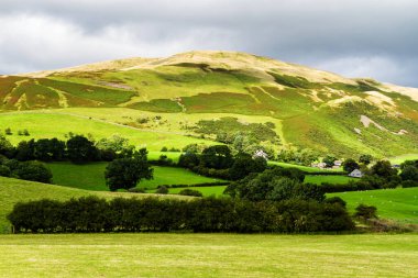 Sakin mavi gökyüzünün altında koyunları olan yuvarlanan yeşil tarlalar. İngiltere 'deki İngiliz Yorkshire Dales Ulusal Parkı' nın çayır tarım arazisi üzerinde renkli bir manzara
