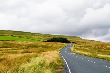 İngiltere 'nin kuzeyinde Yorkshire Dales Ulusal Parkı' ndaki dağlara giden yol manzarası. Yorkshire Dales, İngiltere 'nin kuzeyindeki bir dağ sırasıdır. Avrupa