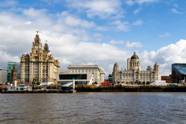 Liverpool, İngiltere - 20 Ağustos 2016: Liverpool Binası ve Liverpool Karaciğeri. İngiltere, Liverpool 'daki ünlü 