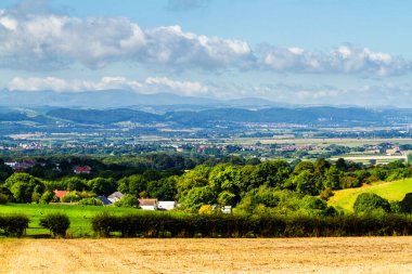 Sakin mavi gökyüzünün altında koyunları olan yuvarlanan yeşil tarlalar. Galler 'in Colwyn Körfezi yakınlarındaki Galler Vadisi' nin koyun çiftlikleri üzerinde renkli bir manzara.