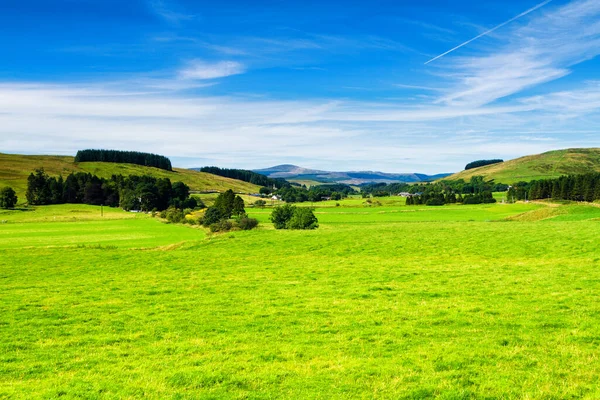 Campos Verdes Rodantes Bajo Cielo Azul Tranquilo Colorido Panorama Sobre —  Fotos de Stock