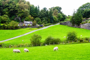 Galler kırsalı, Snowdonia Ulusal Parkı, Galler, İngiltere