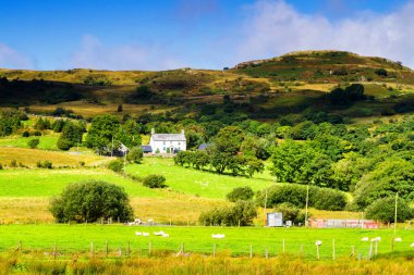 Birleşik Krallık 'ın Kuzey Galler' indeki Snowdonia Ulusal Parkı. Snowdonia, Galler 'in kuzeyindeki bir dağ silsilesidir. Avrupa