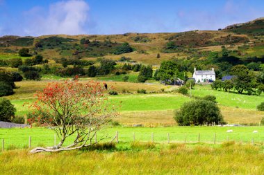 Birleşik Krallık 'ın Kuzey Galler' indeki Snowdonia Ulusal Parkı. Snowdonia, Galler 'in kuzeyindeki bir dağ silsilesidir. Avrupa