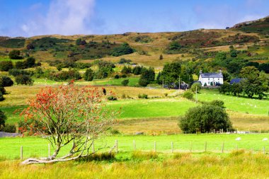 Birleşik Krallık 'ın Kuzey Galler' indeki Snowdonia Ulusal Parkı. Snowdonia, Galler 'in kuzeyindeki bir dağ silsilesidir. Avrupa