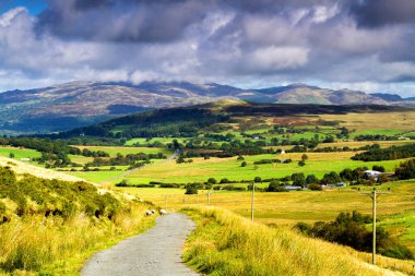 Birleşik Krallık 'ın Kuzey Galler' deki Snowdonia Ulusal Parkı 'ndaki dağlara giden yol manzarası. Snowdonia, Galler 'in kuzeyindeki bir dağ silsilesidir. Avrupa