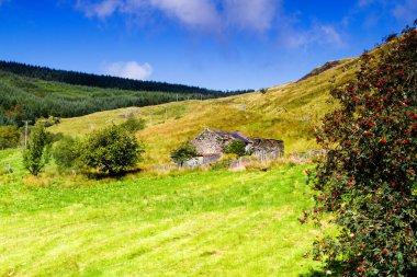 Birleşik Krallık 'ın Kuzey Galler' indeki Snowdonia Ulusal Parkı. Snowdonia, Galler 'in kuzeyindeki bir dağ silsilesidir. Avrupa