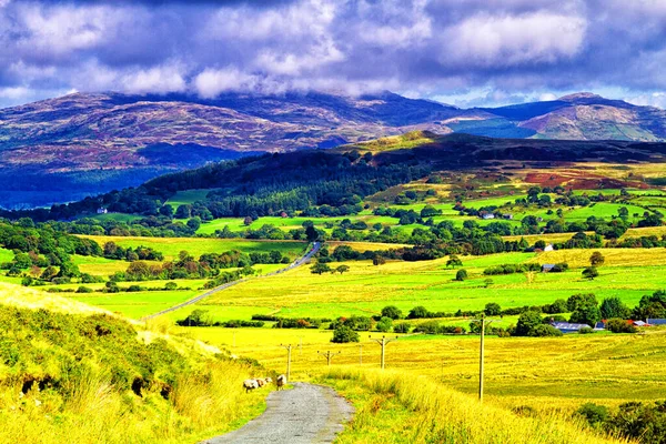 Widok Góry Parku Narodowym Snowdonia Północnej Walii Wielkiej Brytanii Snowdonia — Zdjęcie stockowe