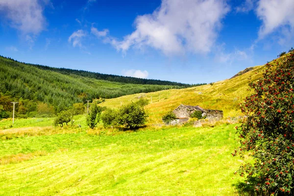 Snowdonia National Park Noord Wales Van Het Verenigd Koninkrijk Snowdonia — Stockfoto