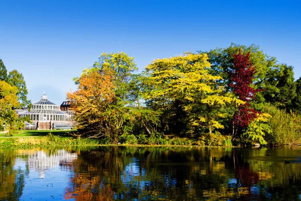 Jardines Botánicos Con Lago Durante Otoño Copanhagen — Foto de Stock