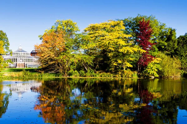 Jardines Botánicos Con Lago Durante Otoño Copanhagen — Foto de Stock
