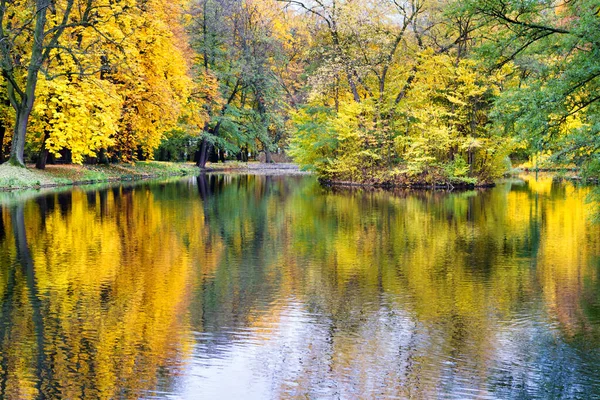 Vackert Landskap Hösten Löven Faller Royal Lazienki Park Warszawa Polen — Stockfoto