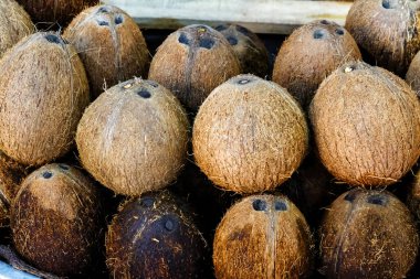 Hindistan cevizi sütü üretmek için kurutulmuş hindistan cevizi, İran, İsfahan 'da satış pazarı için kurutulmuş hindistan cevizi kabuğu.