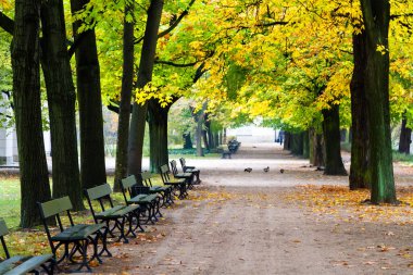 Lazienki parkındaki güzel sokak, Varşova, Polonya