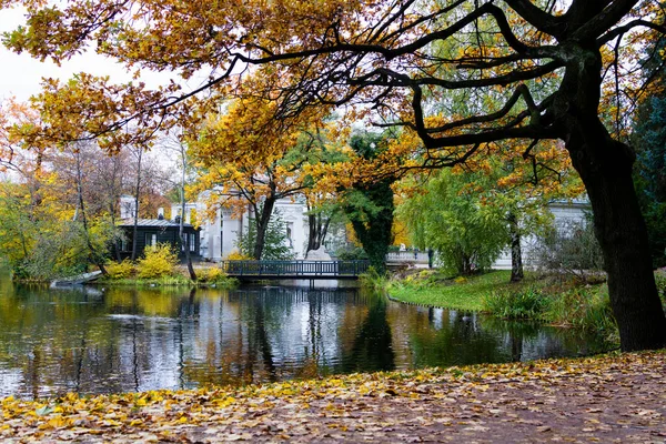 秋天的美丽风景落叶时在波兰华沙的拉齐耶斯基皇家公园 — 图库照片