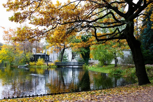 Prachtig Landschap Herfst Tijdens Bladeren Vallen Het Royal Lazienki Park — Stockfoto