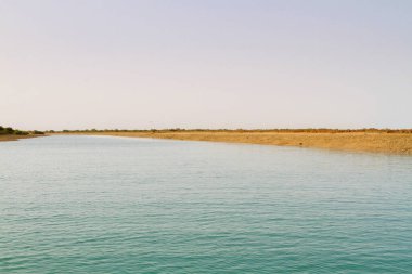 İran Körfezi, İran, Orta Doğu ve Asya 'daki Qeshm (Keshm) adası yakınlarındaki Mangrove ormanları