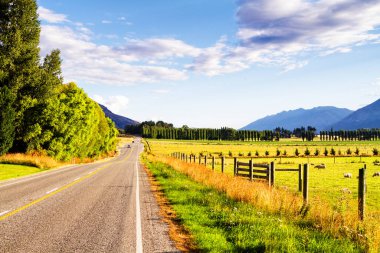 Vahşi, el değmemiş Yeni Zelanda kırsalının güzel ve doğal manzarasında yol.