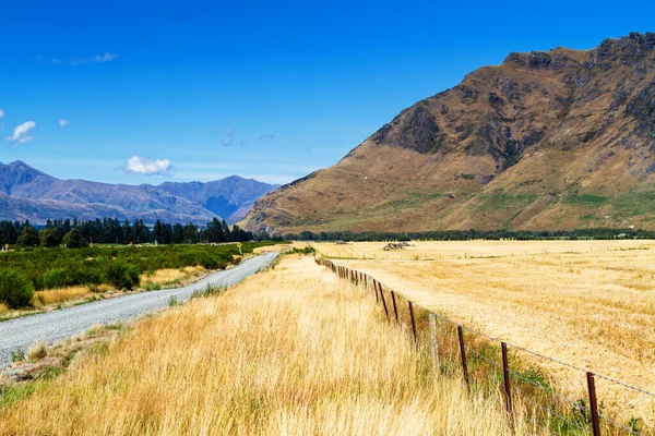 Straße Durch Wunderschöne Und Natürliche Landschaft Mit Wilder Unberührter Neuseeländischer — Stockfoto