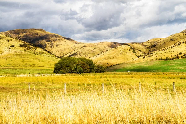 Bela Vista Terras Agrícolas Verão South Island Nova Zelândia — Fotografia de Stock