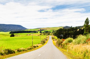 Vahşi, el değmemiş Yeni Zelanda kırsalının güzel ve doğal manzarasında yol.