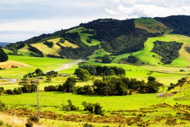 Yeni Zelanda 'nın Güney Adası' nda yaz mevsiminde güzel tarım arazisi manzarası