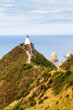 Nugget Point, Catlins, Yeni Zelanda. Catlins bölge parkındaki Nugget Point feneri popüler bir turizm merkezidir..