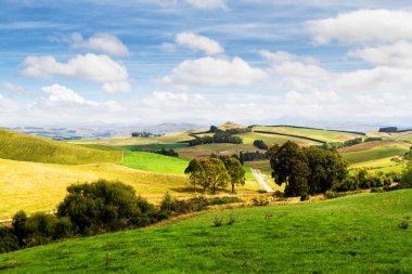 Yeni Zelanda 'nın Güney Adası' nda yaz mevsiminde güzel tarım arazisi manzarası