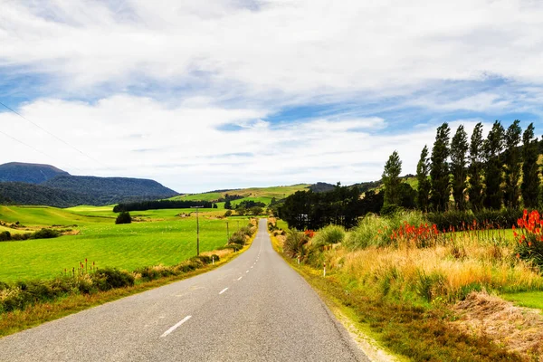 Camino Través Hermoso Natural Paisaje Salvaje Prístina Campiña Nueva Zelanda — Foto de Stock